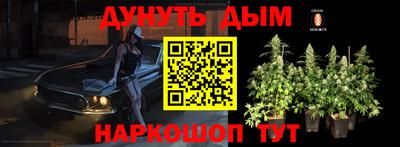 МДПВ Моздок