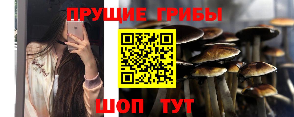 Псилоцибиновые грибы прущие грибы Барнаул