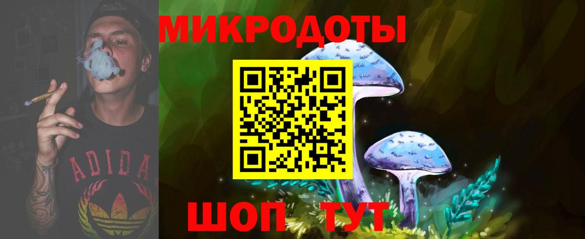 Барнаул  Галлюциногенные грибы Psilocybe  Вход с VPN 